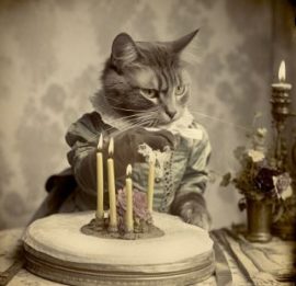 Old Fashioned Cats and Candles